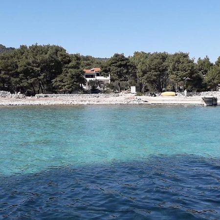 Apartmani Lina Veliki Drvenik Εξωτερικό φωτογραφία