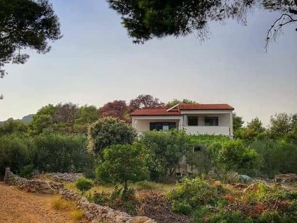 Apartmani Lina Veliki Drvenik Εξωτερικό φωτογραφία